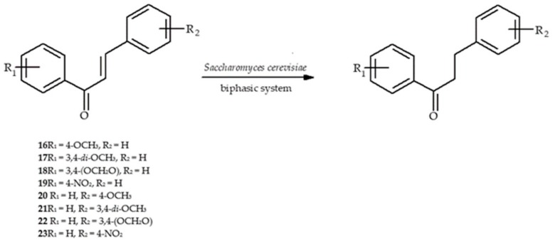 Scheme 4