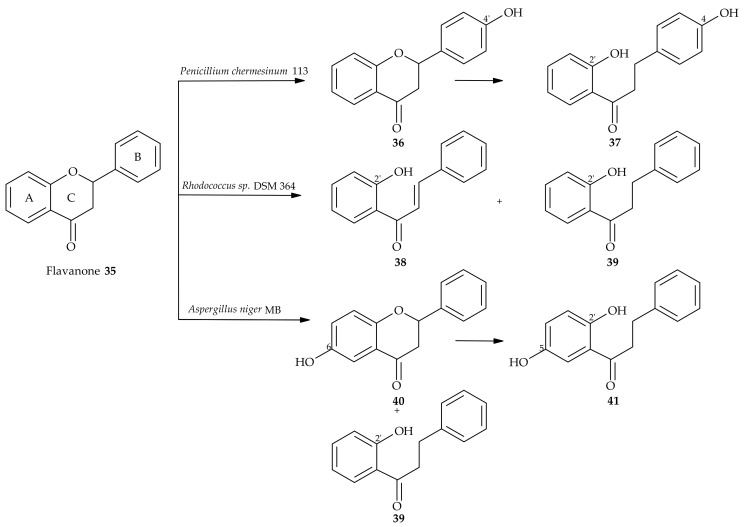 Scheme 7