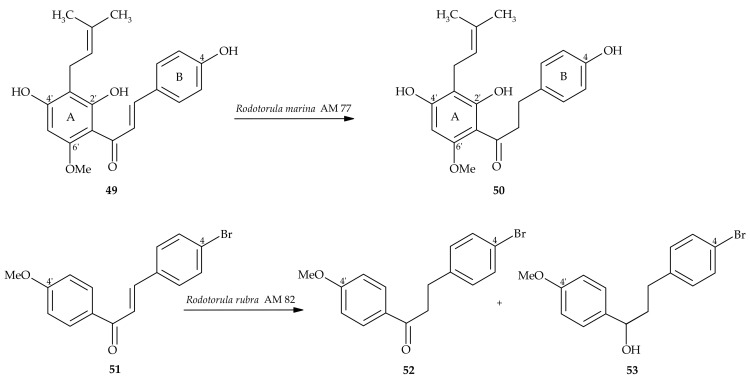 Scheme 10