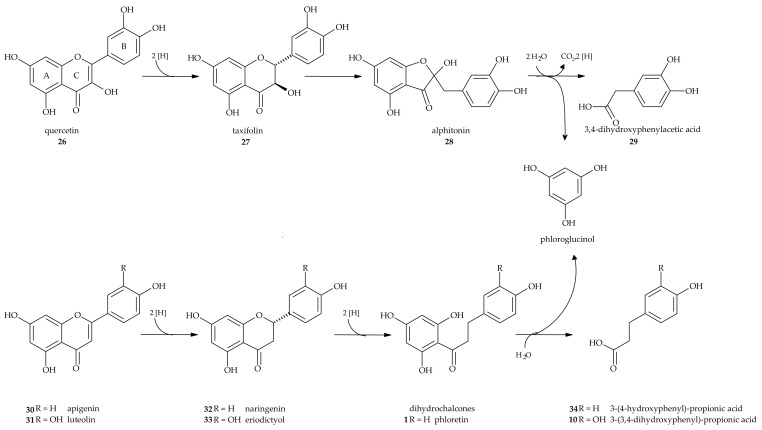 Scheme 6