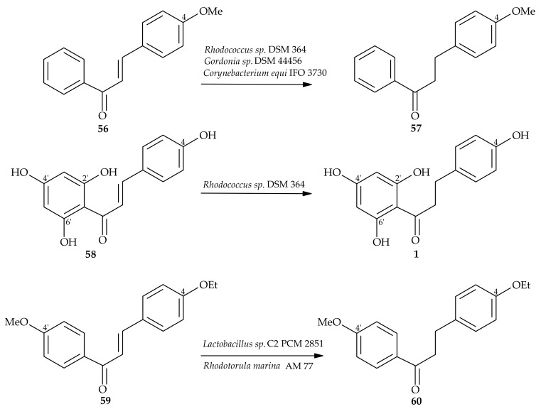 Scheme 12