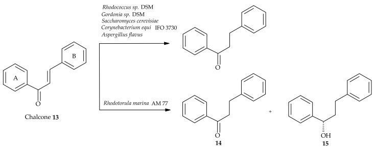 Scheme 3