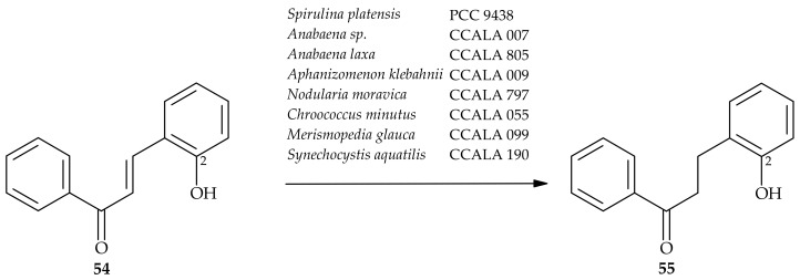 Scheme 11