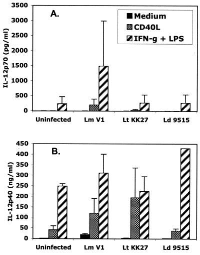 FIG. 5.