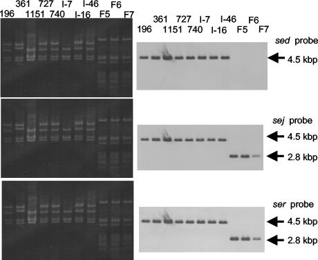 FIG. 6.