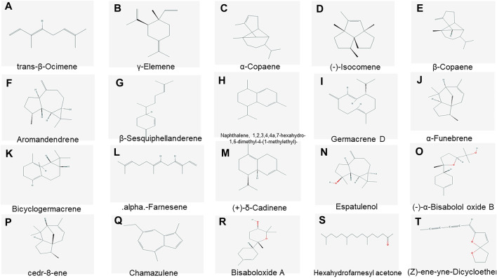 FIGURE 2