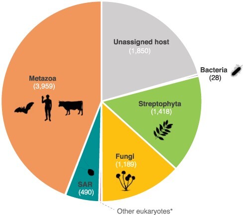 Figure 2.