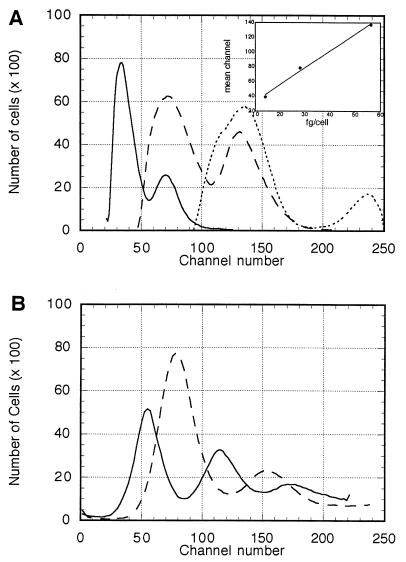 FIG. 5