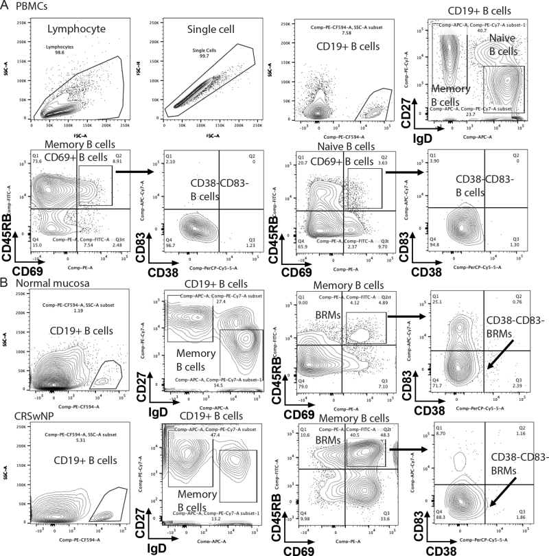 Supplementary Fig S1