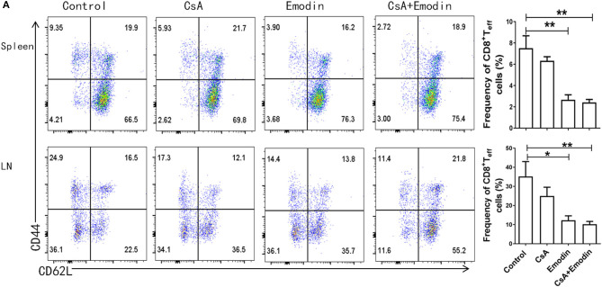 Figure 3A