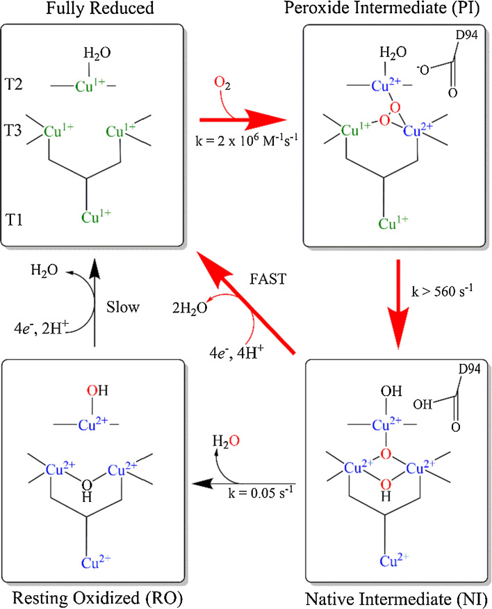 Fig. 5