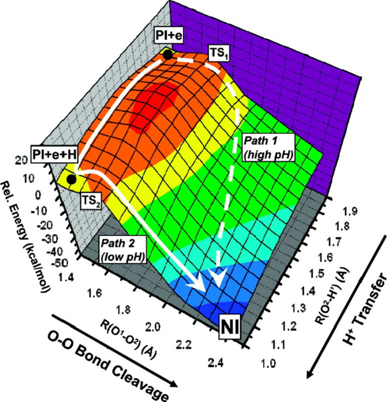 Fig. 9