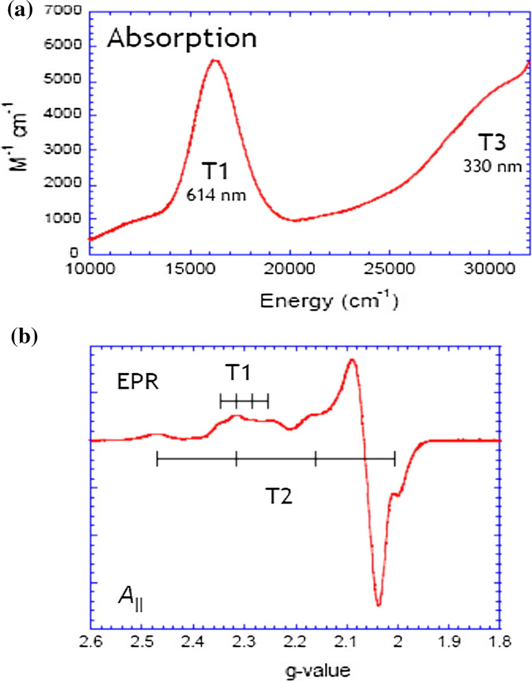 Fig. 1