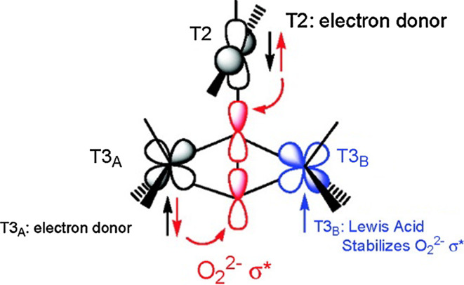 Fig. 10