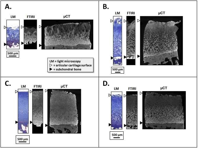 Fig. 6