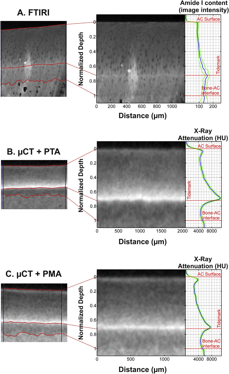 Fig. 3