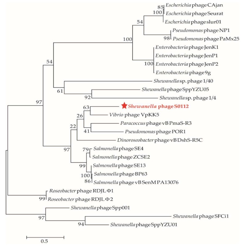 Figure 7