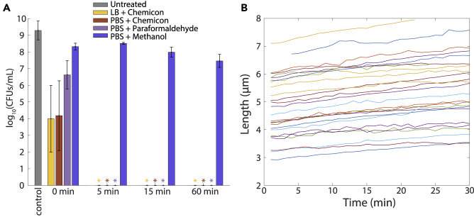 Figure 5