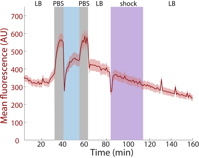 Figure 4