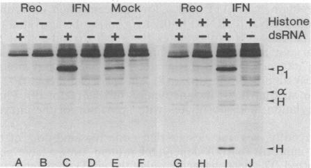 graphic file with name pnas00300-0067-a.jpg