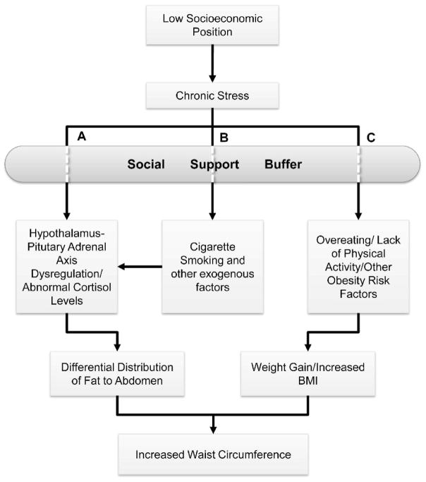 Fig 1