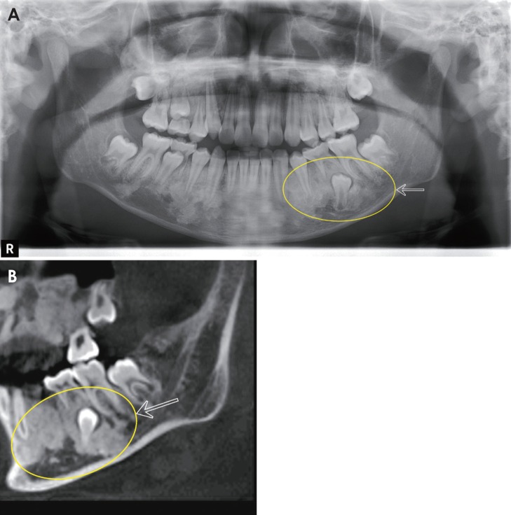 Fig. 8