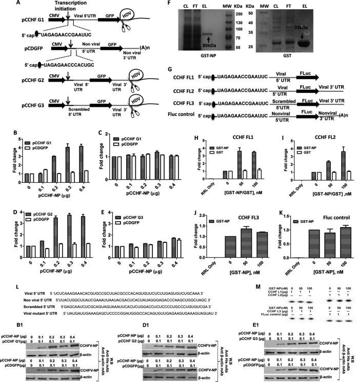 FIG 1