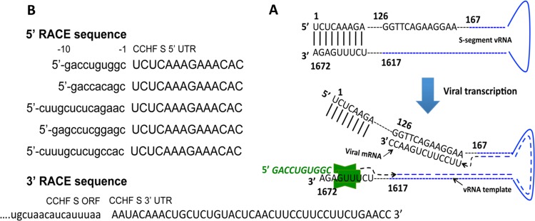 FIG 2