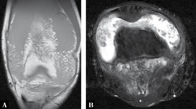 Fig. 20.