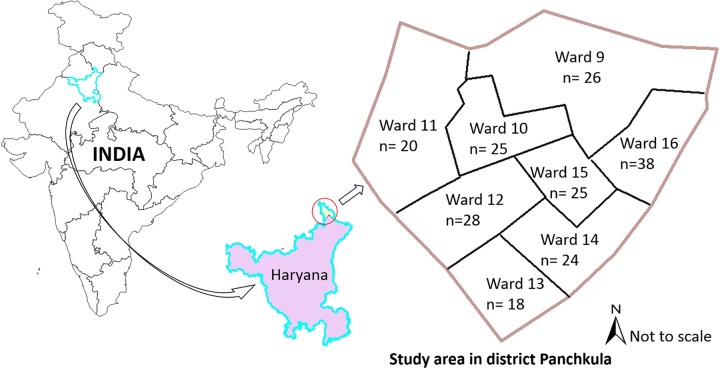 Fig 1