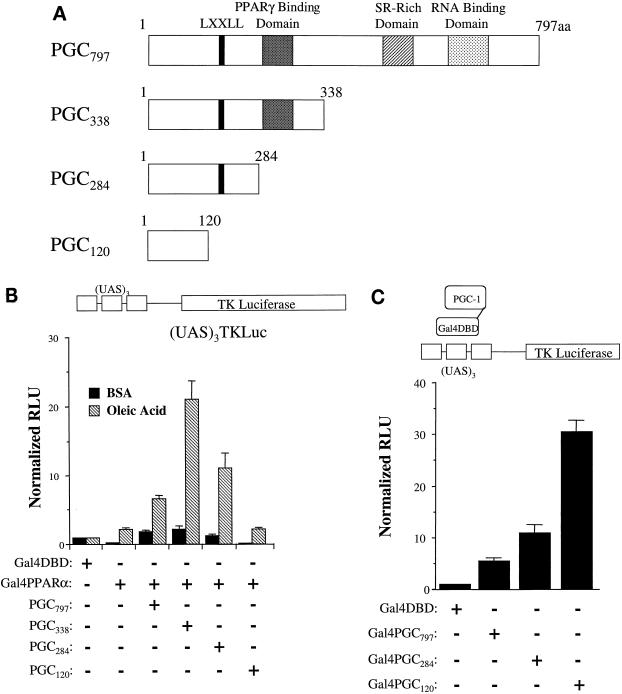 FIG. 6