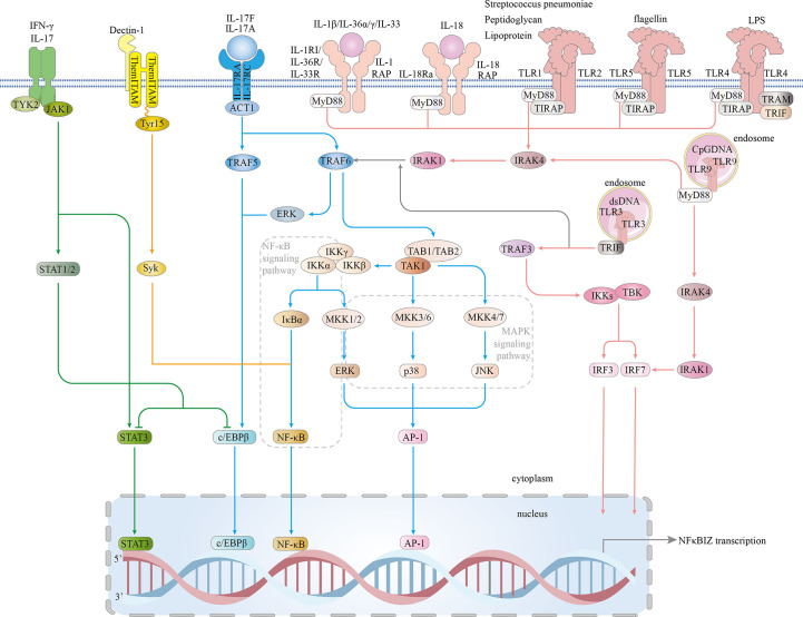 Figure 4