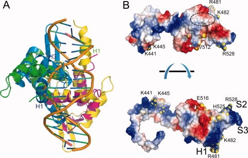 Figure 7