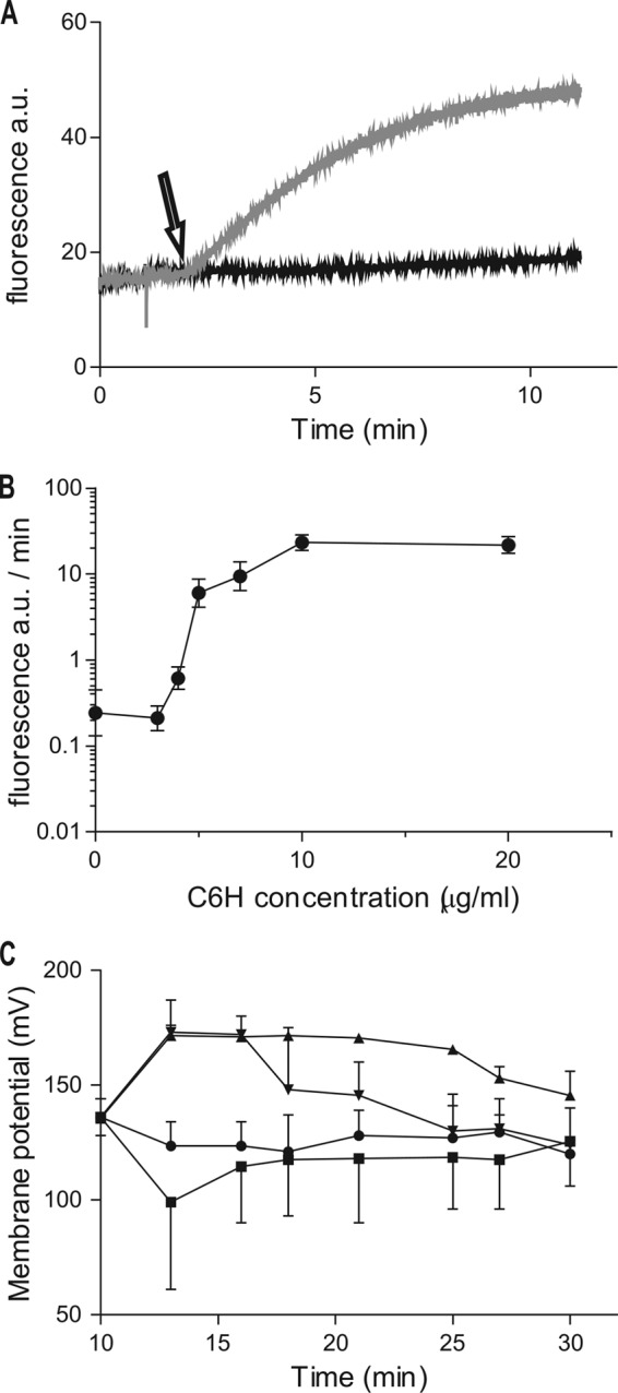 FIG 2