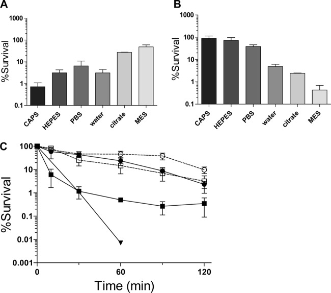 FIG 1