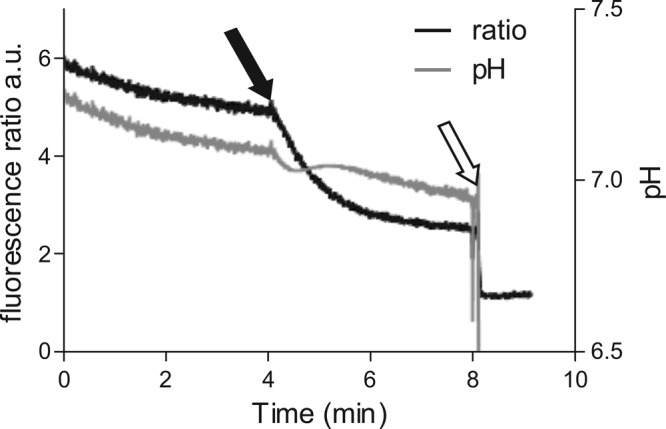 FIG 3