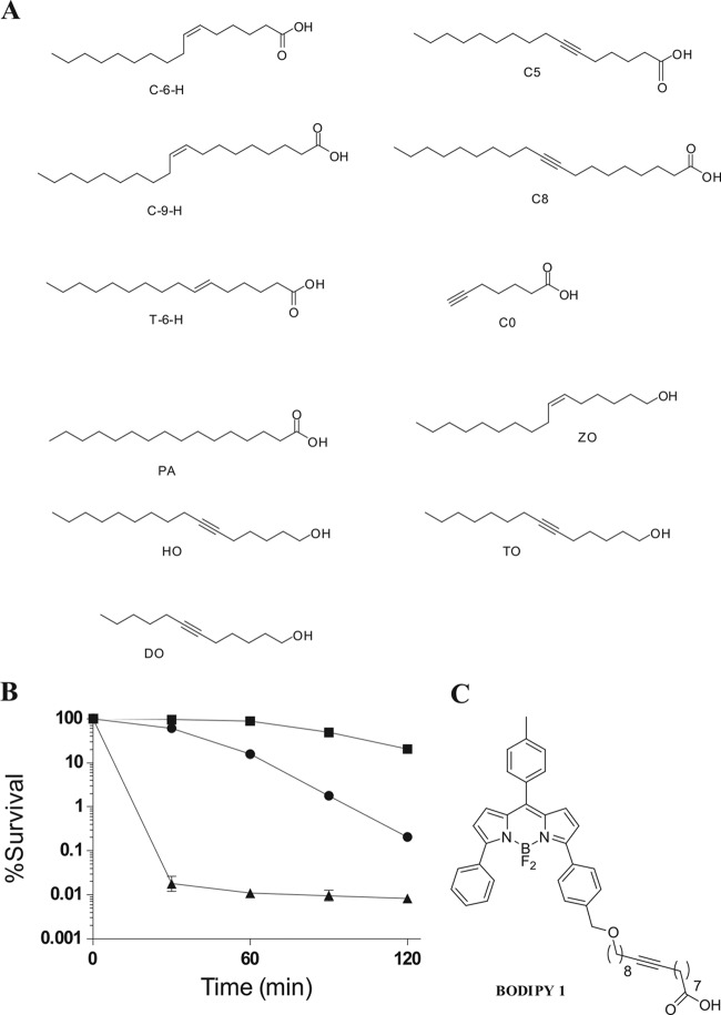 FIG 7