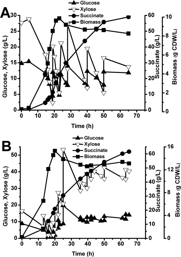 Fig 4