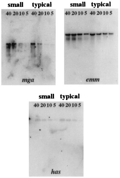 FIG. 5