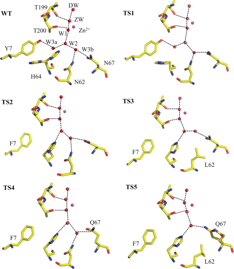 Fig. 2.