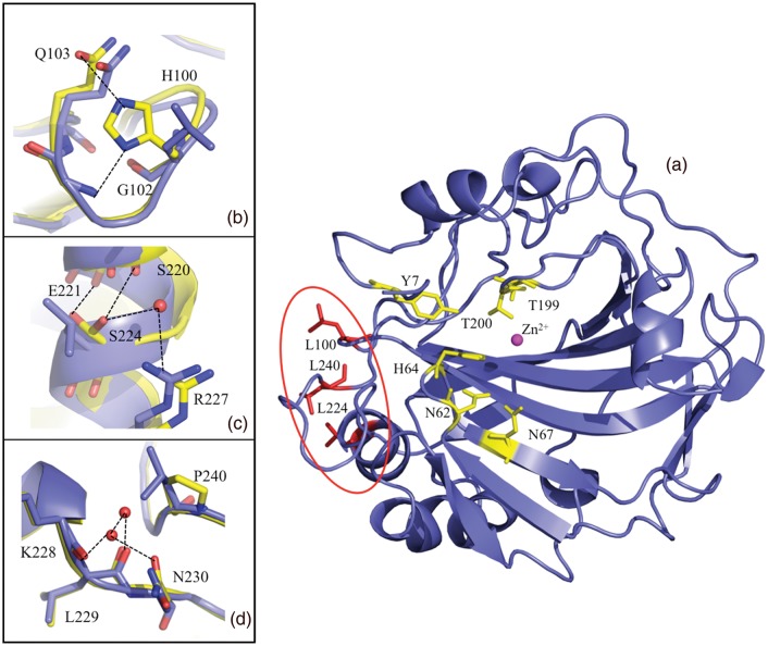 Fig. 1.