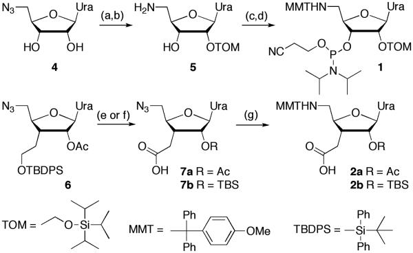 Scheme 1