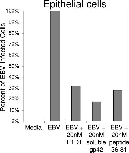 FIG. 7.