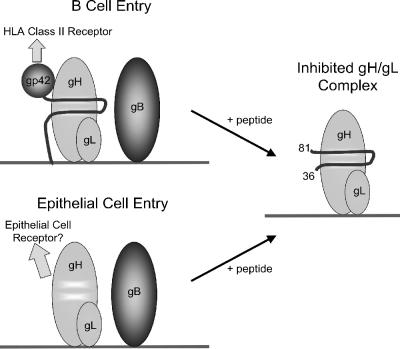 FIG. 8.