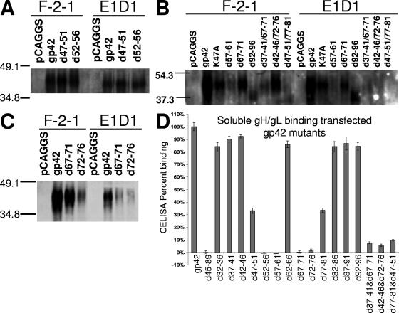 FIG. 2.