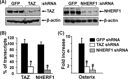 FIG. 8.