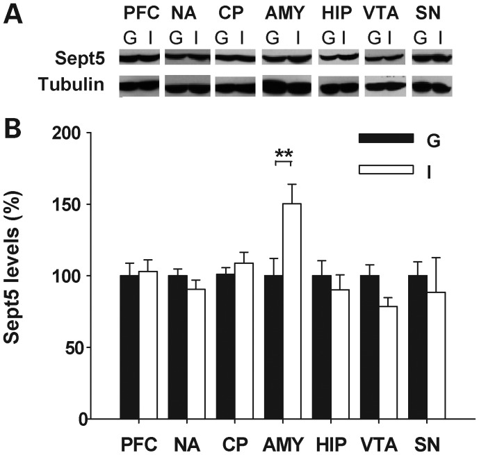 Figure 6.