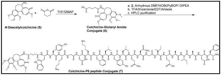 Scheme 2