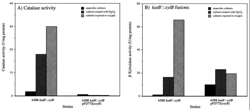 FIG. 6