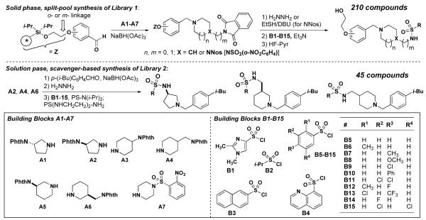 Scheme 2